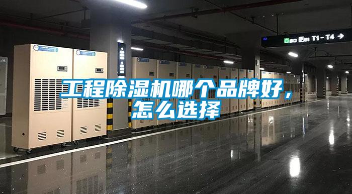 工程除濕機(jī)哪個品牌好，怎么選擇