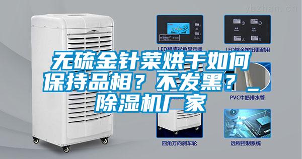 無硫金針菜烘干如何保持品相？不發(fā)黑？_除濕機廠家