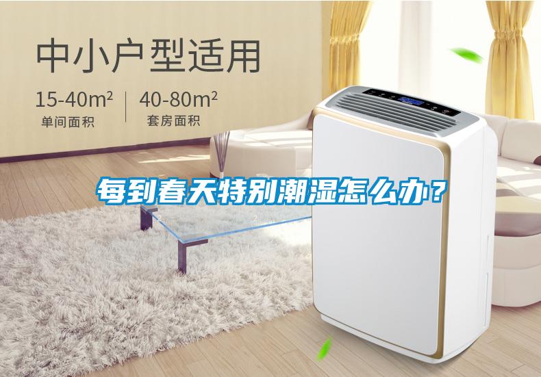 每到春天特別潮濕怎么辦？