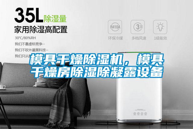 模具干燥除濕機(jī)，模具干燥房除濕除凝露設(shè)備