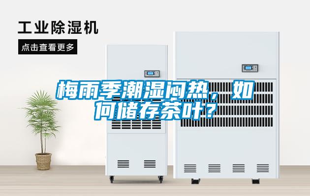 梅雨季潮濕悶熱，如何儲(chǔ)存茶葉？