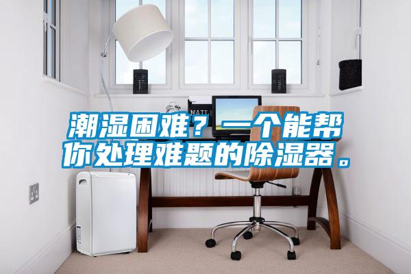 潮濕困難？一個(gè)能幫你處理難題的除濕器。