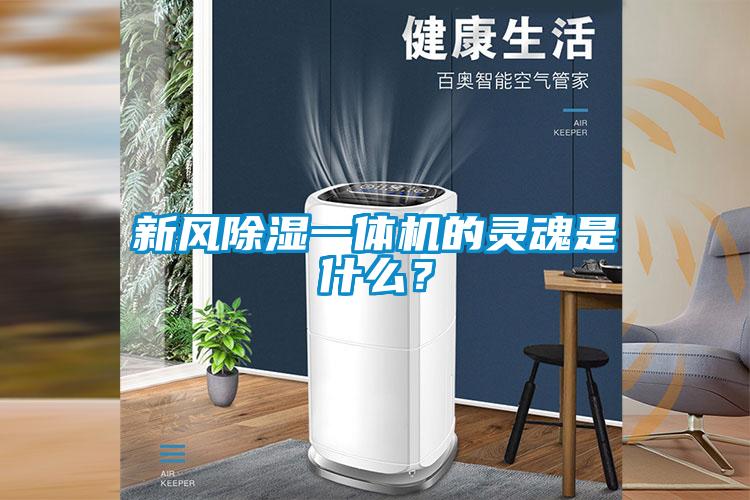 新風(fēng)除濕一體機(jī)的靈魂是什么？