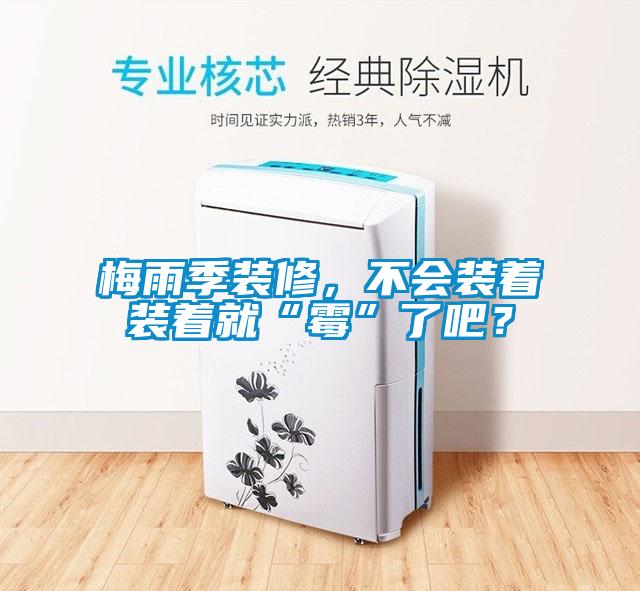 梅雨季裝修，不會(huì)裝著裝著就“霉”了吧？