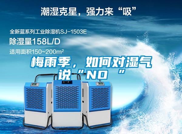梅雨季，如何對濕氣說“NO ”