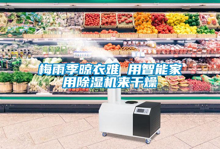 梅雨季晾衣難 用智能家用除濕機(jī)來干燥