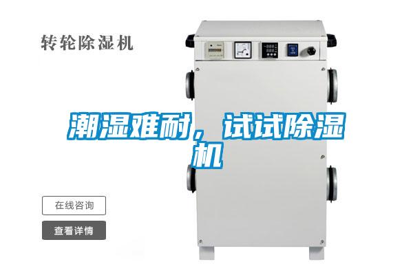 潮濕難耐，試試除濕機
