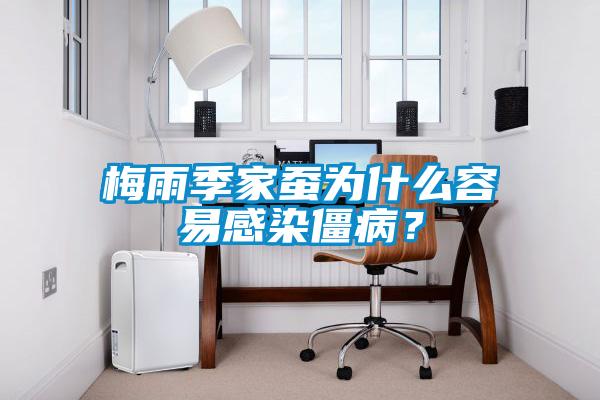 梅雨季家蠶為什么容易感染僵??？