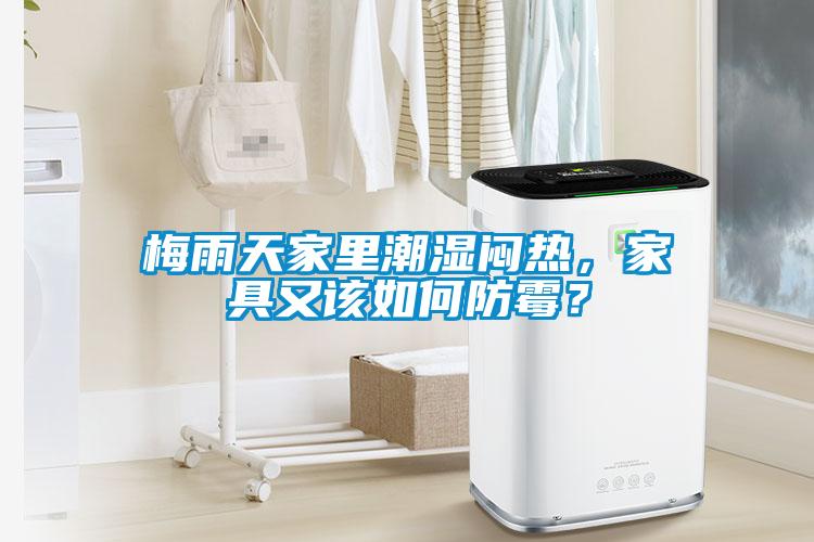 梅雨天家里潮濕悶熱，家具又該如何防霉？