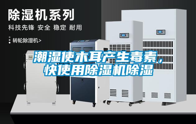 潮濕使木耳產(chǎn)生毒素，快使用除濕機除濕