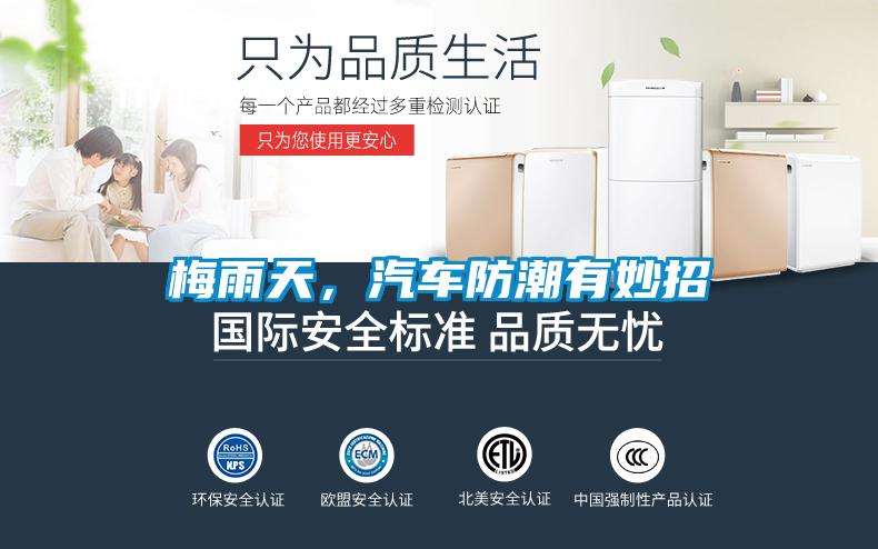 梅雨天，汽車防潮有妙招