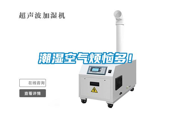 潮濕空氣煩惱多！