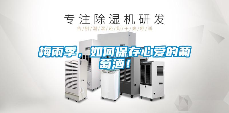 梅雨季，如何保存心愛的葡萄酒！