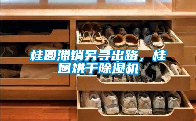 桂圓滯銷(xiāo)另尋出路，桂圓烘干除濕機(jī)