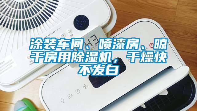 涂裝車間、噴漆房、晾干房用除濕機(jī)，干燥快不發(fā)白