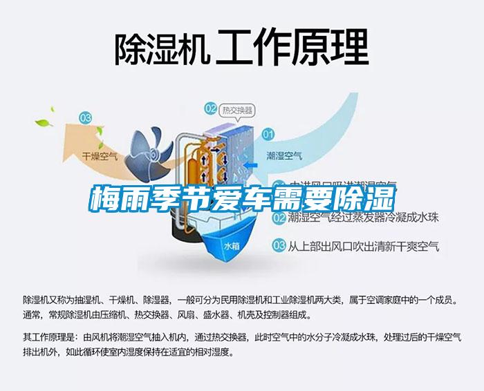 梅雨季節(jié)愛車需要除濕
