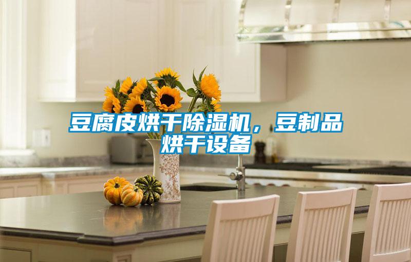 豆腐皮烘干除濕機，豆制品烘干設(shè)備