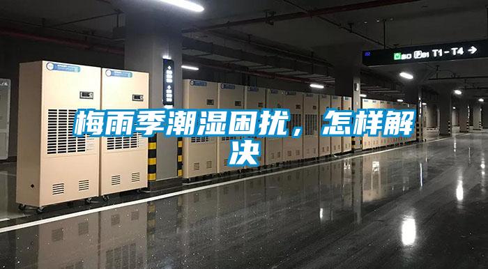 梅雨季潮濕困擾，怎樣解決