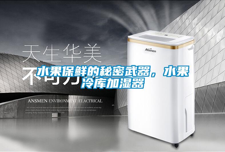 水果保鮮的秘密武器，水果冷庫加濕器