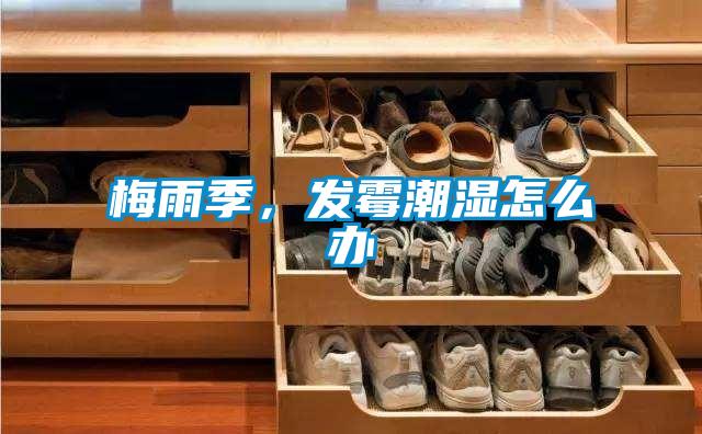 梅雨季，發(fā)霉潮濕怎么辦