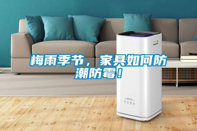 梅雨季節(jié)，家具如何防潮防霉！