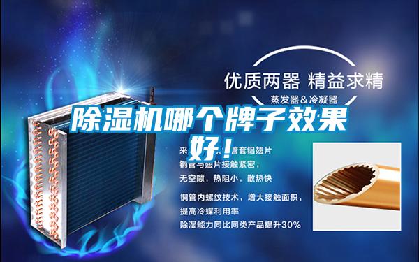除濕機(jī)哪個(gè)牌子效果好！