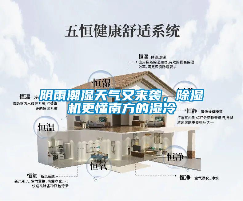 陰雨潮濕天氣又來襲，除濕機更懂南方的濕冷