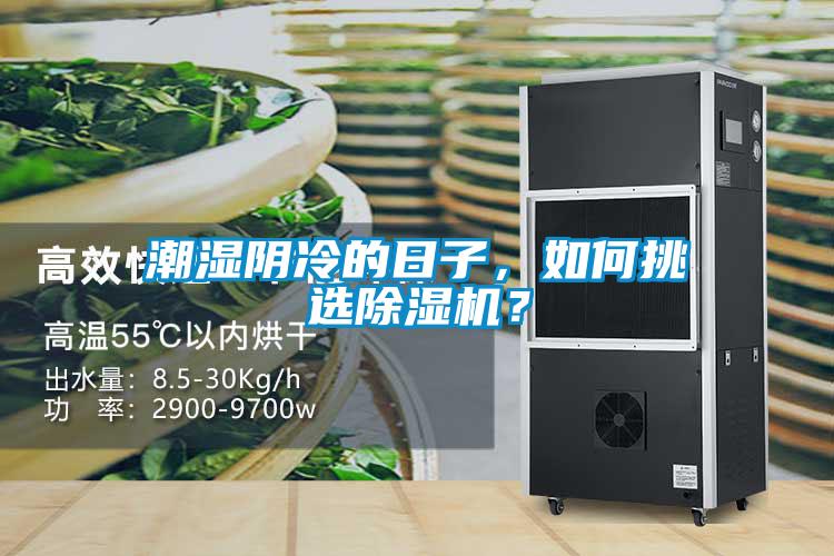 潮濕陰冷的日子，如何挑選除濕機(jī)？