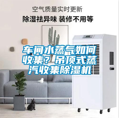 車間水蒸氣如何收集？吊頂式蒸汽收集除濕機