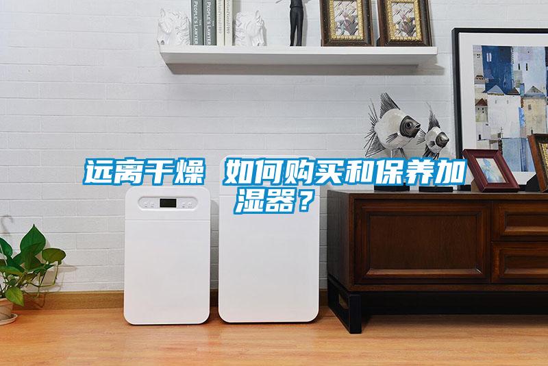 遠(yuǎn)離干燥 如何購買和保養(yǎng)加濕器？