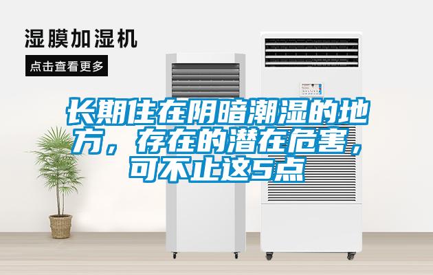 長期住在陰暗潮濕的地方，存在的潛在危害，可不止這5點(diǎn)