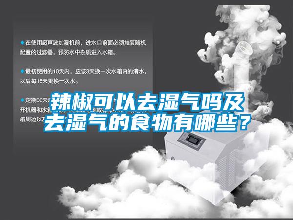 辣椒可以去濕氣嗎及去濕氣的食物有哪些？