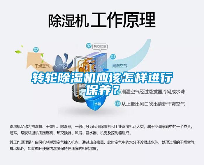 轉(zhuǎn)輪除濕機應該怎樣進行保養(yǎng)？