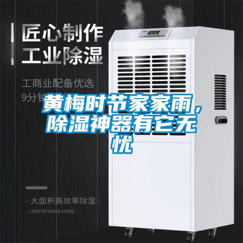 黃梅時節(jié)家家雨，除濕神器有它無憂