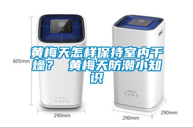 黃梅天怎樣保持室內(nèi)干燥? 黃梅天防潮小知識(shí)