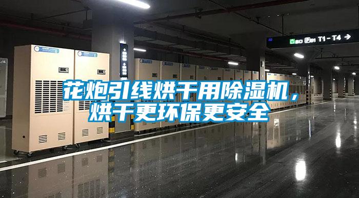 花炮引線烘干用除濕機，烘干更環(huán)保更安全