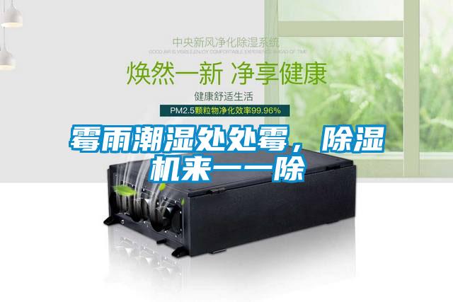 霉雨潮濕處處霉，除濕機來一一除
