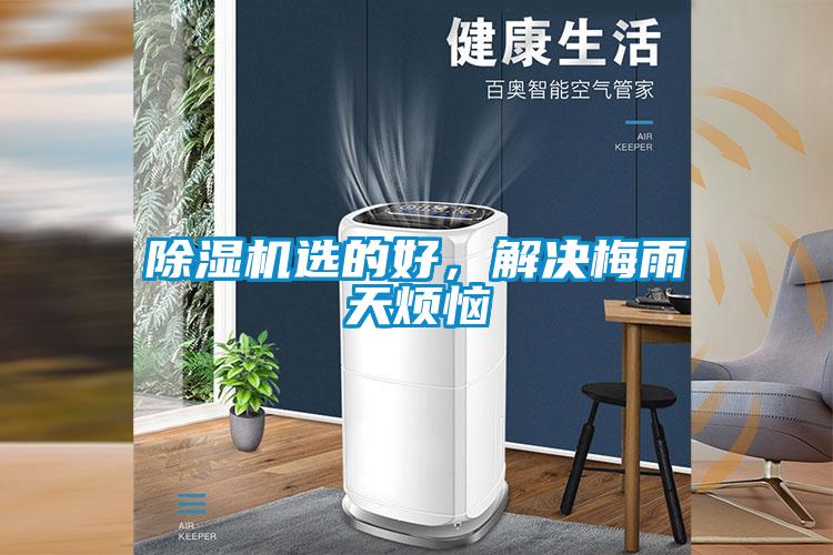 除濕機選的好，解決梅雨天煩惱