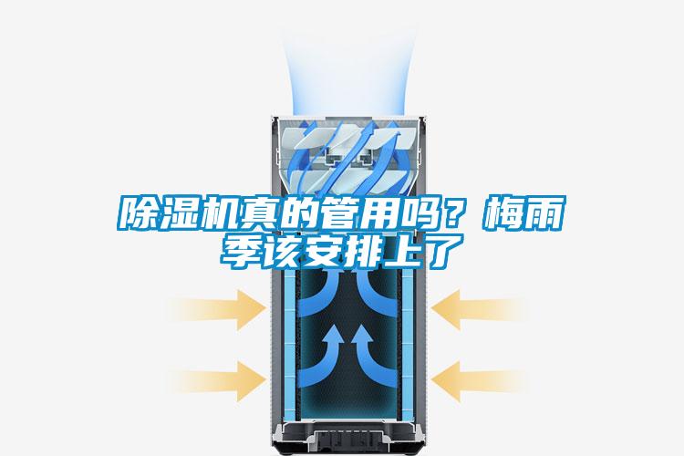 除濕機真的管用嗎？梅雨季該安排上了