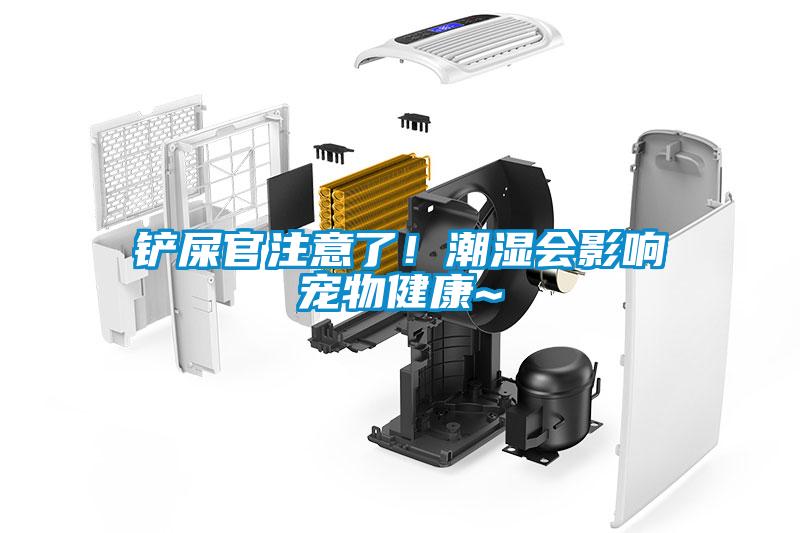 鏟屎官注意了！潮濕會影響寵物健康~