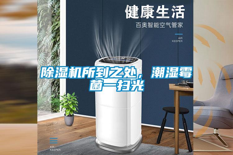 除濕機(jī)所到之處，潮濕霉菌一掃光