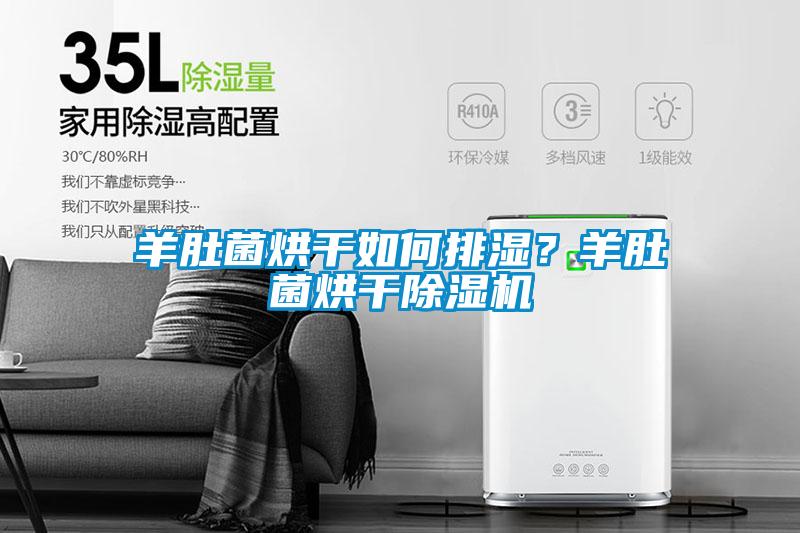 羊肚菌烘干如何排濕？羊肚菌烘干除濕機