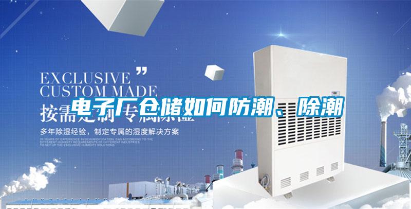電子廠倉儲(chǔ)如何防潮、除潮