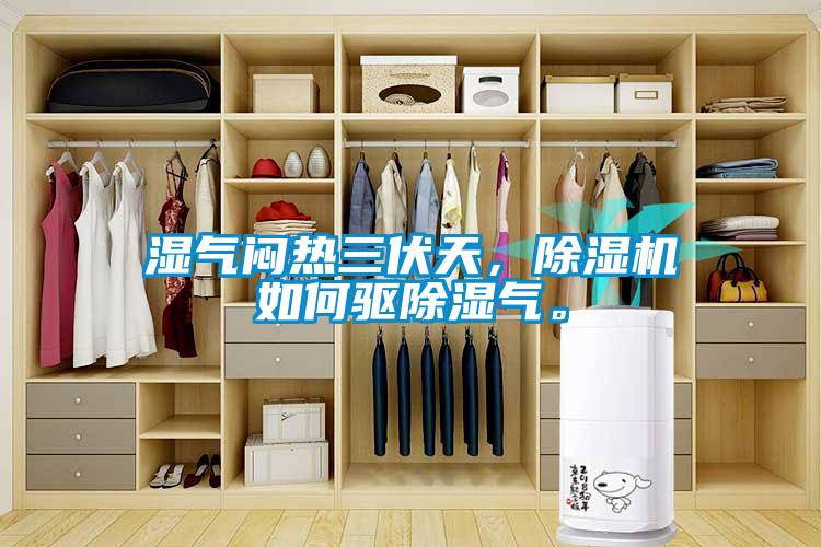 濕氣悶熱三伏天，除濕機(jī)如何驅(qū)除濕氣。