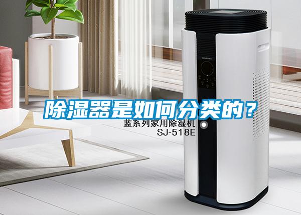 除濕器是如何分類的？