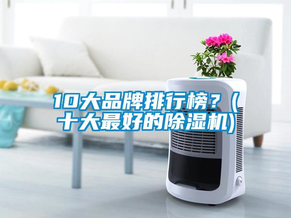 10大品牌排行榜？(十大最好的除濕機)