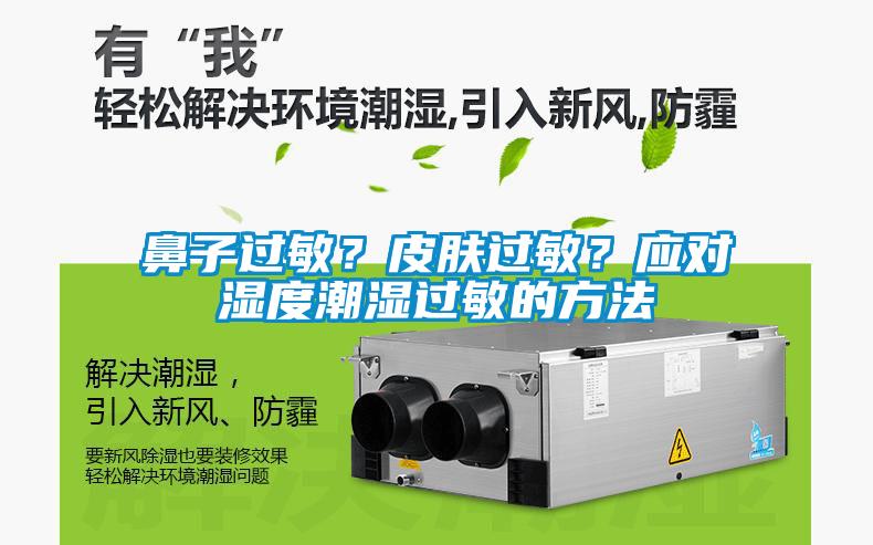 鼻子過敏？皮膚過敏？應對濕度潮濕過敏的方法