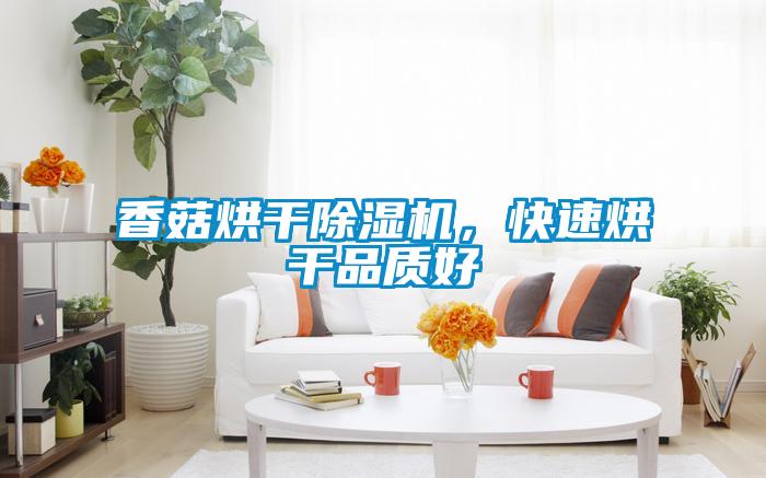 香菇烘干除濕機(jī)，快速烘干品質(zhì)好