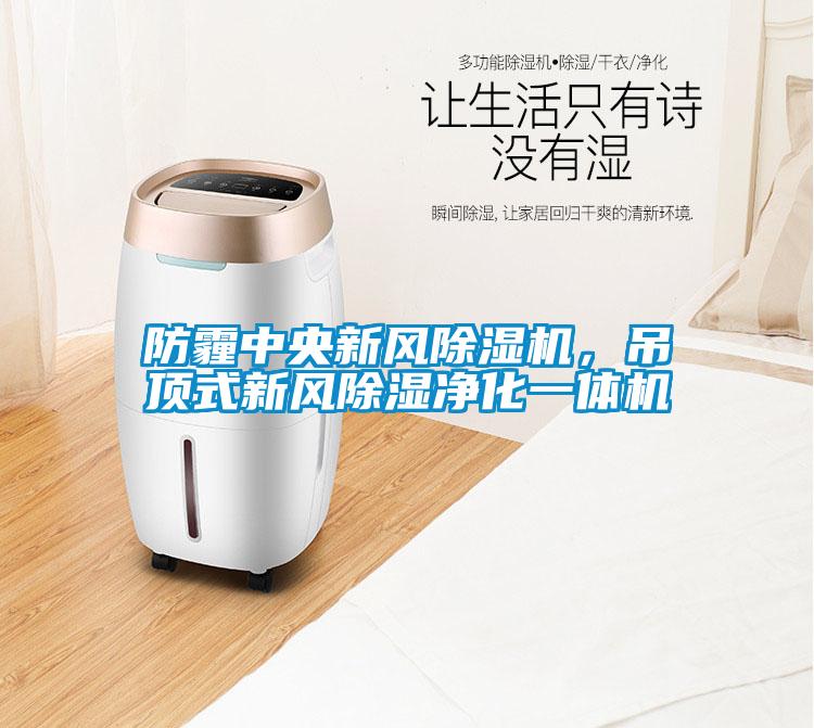 防霾中央新風(fēng)除濕機(jī)，吊頂式新風(fēng)除濕凈化一體機(jī)