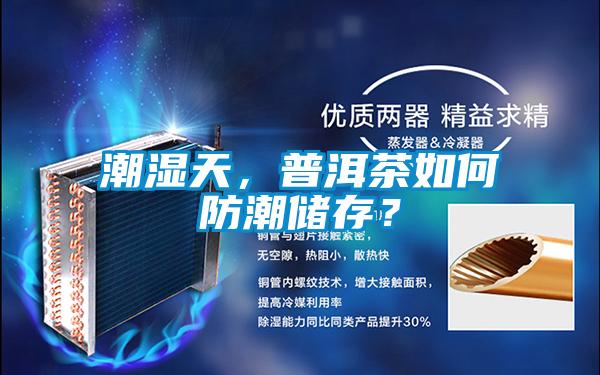 潮濕天，普洱茶如何防潮儲存？